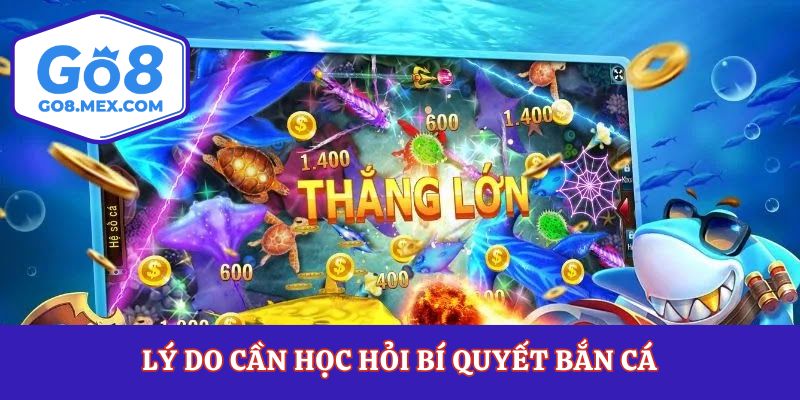 Lý do cần học hỏi bí quyết bắn cá