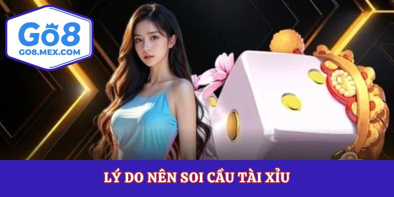 Lý do nên soi cầu tài xỉu