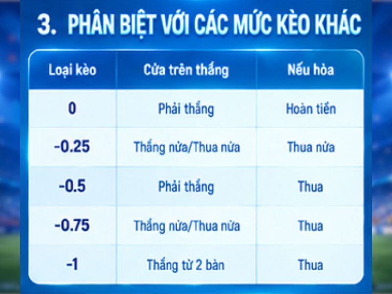 Phân biệt kèo chấp 0.5 với các mức kèo phổ biến